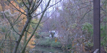 Dannenberg/Elbe