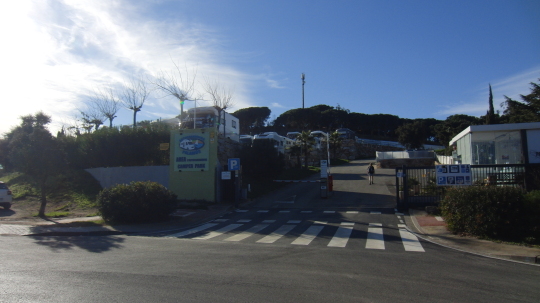 Palamos
