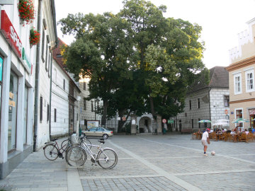 Trebon